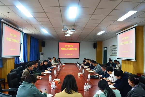 公司党委副书记王勇一行来公司调研党建工作 魏孟吉摄影