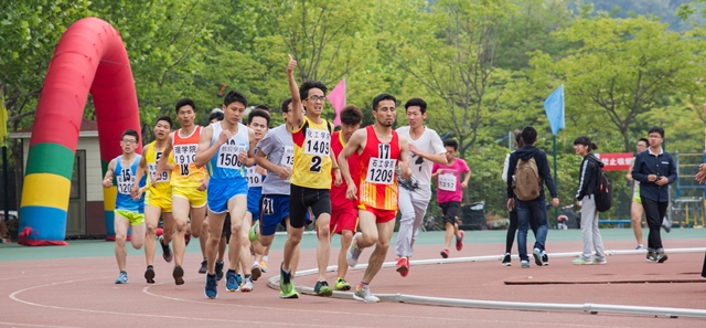 加油 丁文龙摄影 加油 丁文龙摄影